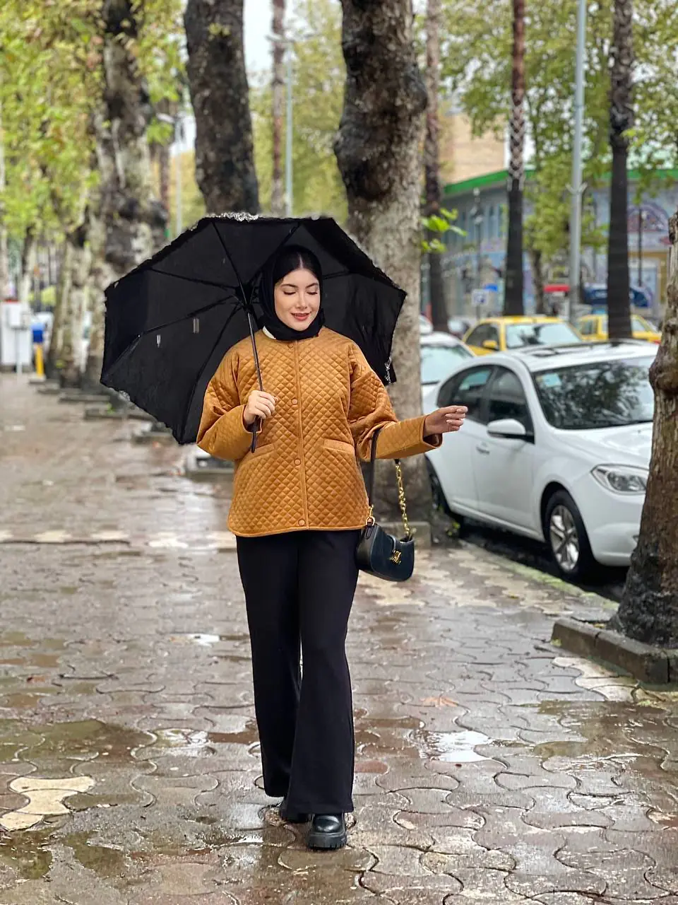 پالتو آمبردی درسا (273) - Image 11